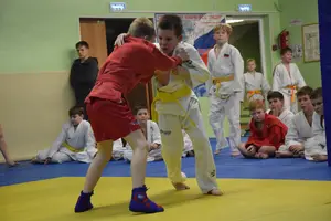 Первенство "Упрощенное дзюдо и самбо» 2015 г.р.