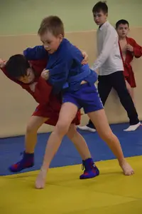 Первенство "Упрощенное дзюдо и самбо» 2015 г.р.