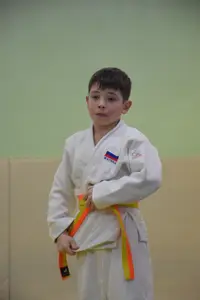 Первенство "Упрощенное дзюдо и самбо» 2015 г.р.