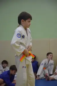 Первенство "Упрощенное дзюдо и самбо» 2015 г.р.