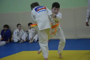 Первенство "Упрощенное дзюдо и самбо» 2015 г.р.