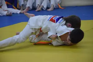 Первенство "Упрощенное дзюдо и самбо» 2015 г.р.