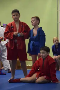 Первенство "Упрощенное дзюдо и самбо» 2015 г.р.