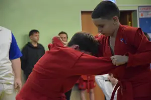 Первенство "Упрощенное дзюдо и самбо» 2015 г.р.