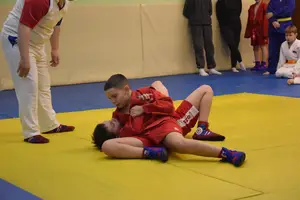 Первенство "Упрощенное дзюдо и самбо» 2015 г.р.