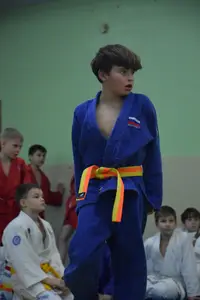 Первенство "Упрощенное дзюдо и самбо» 2015 г.р.