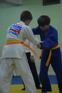 Первенство "Упрощенное дзюдо и самбо» 2015 г.р.