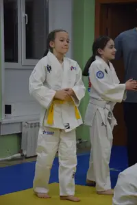 Первенство "Упрощенное дзюдо и самбо» 2015 г.р.