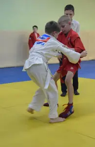 Первенство "Упрощенное дзюдо и самбо» 2015 г.р.