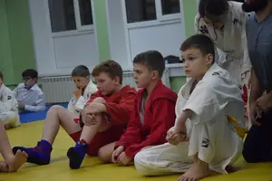 Первенство "Упрощенное дзюдо и самбо» 2015 г.р.