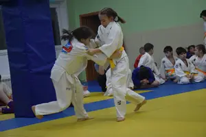 Первенство "Упрощенное дзюдо и самбо» 2015 г.р.