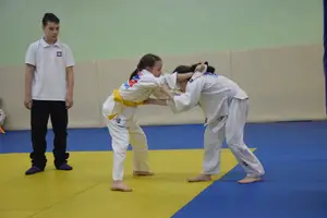 Первенство "Упрощенное дзюдо и самбо» 2015 г.р.
