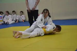 Первенство "Упрощенное дзюдо и самбо» 2015 г.р.