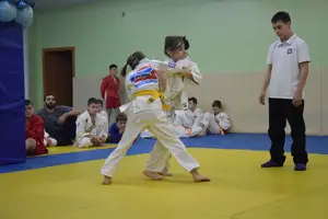 Первенство "Упрощенное дзюдо и самбо» 2015 г.р.
