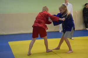 Первенство "Упрощенное дзюдо и самбо» 2015 г.р.