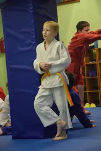 Первенство "Упрощенное дзюдо и самбо» 2015 г.р.