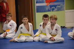 Первенство "Упрощенное дзюдо и самбо» 2015 г.р.