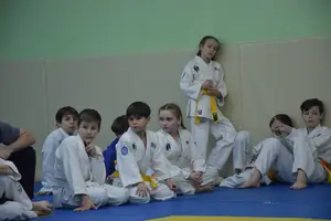 Первенство "Упрощенное дзюдо и самбо» 2015 г.р.