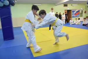 Первенство "Упрощенное дзюдо и самбо» 2015 г.р.