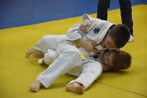 Первенство "Упрощенное дзюдо и самбо» 2015 г.р.