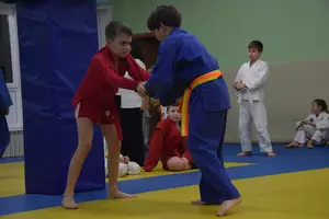 Первенство "Упрощенное дзюдо и самбо» 2015 г.р.