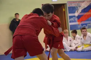 Первенство "Упрощенное дзюдо и самбо» 2015 г.р.