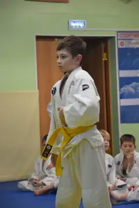 Первенство "Упрощенное дзюдо и самбо» 2015 г.р.