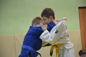 Первенство "Упрощенное дзюдо и самбо» 2015 г.р.