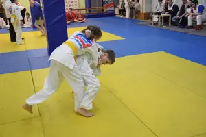 Первенство "Упрощенное дзюдо и самбо» 2015 г.р.