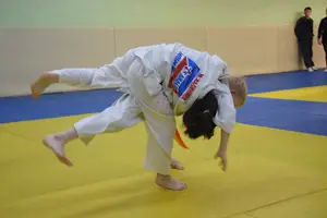 Первенство "Упрощенное дзюдо и самбо» 2015 г.р.