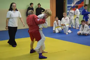 Первенство "Упрощенное дзюдо и самбо» 2015 г.р.