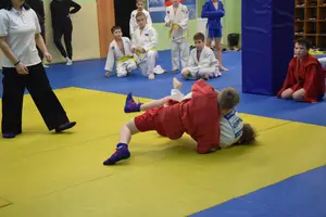 Первенство "Упрощенное дзюдо и самбо» 2015 г.р.