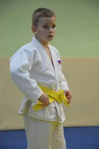 Первенство "Упрощенное дзюдо и самбо» 2015 г.р.