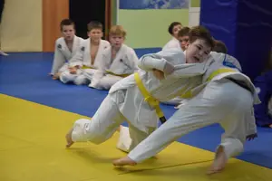 Первенство "Упрощенное дзюдо и самбо» 2015 г.р.