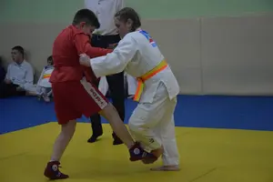 Первенство "Упрощенное дзюдо и самбо» 2015 г.р.