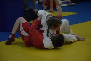 Первенство "Упрощенное дзюдо и самбо» 2015 г.р.