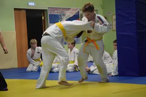 Первенство "Упрощенное дзюдо и самбо» 2015 г.р.