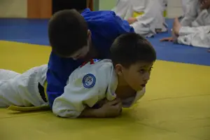 Первенство "Упрощенное дзюдо и самбо» 2015 г.р.