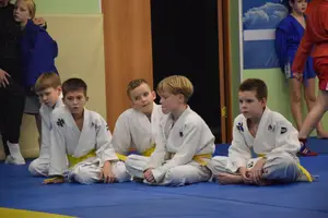 Первенство "Упрощенное дзюдо и самбо» 2015 г.р.