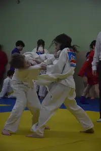 Первенство "Упрощенное дзюдо и самбо» 2015 г.р.