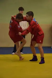 Первенство "Упрощенное дзюдо и самбо» 2015 г.р.