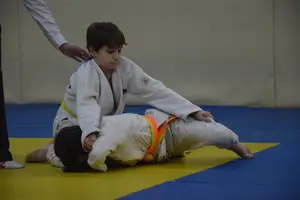 Первенство "Упрощенное дзюдо и самбо» 2015 г.р.