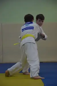 Первенство "Упрощенное дзюдо и самбо» 2015 г.р.