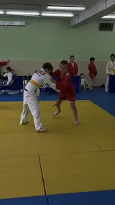 Первенство посвященное Дню Победы  по упрощенным правилам борьбы Дзюдо и Самбо 2016 г.р.