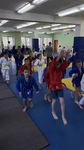 Первенство посвященное Дню Победы «СУМО + партер» 2017 г.р.