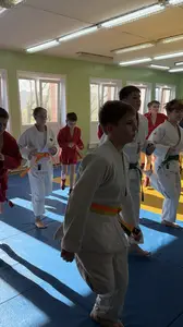 Первенство посвященное Дню Победы  по упрощенным правилам борьбы Дзюдо и Самбо 2015 г.р.