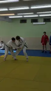 Первенство посвященное Дню Победы  по упрощенным правилам борьбы Дзюдо и Самбо 2015 г.р.