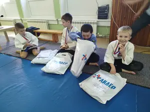 Первенство посвященное Дню Победы  «СУМО 2*2» 2017 г.р.