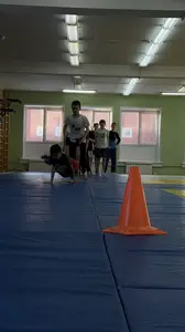 Эстафета посвященная Дню Защитника Отечества 2013 г.р.