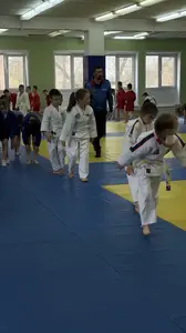 Первенство посвященное Дню Победы  «СУМО в стойке» 2018 г.р.